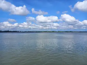 Sajnekhali Tiger Reserve