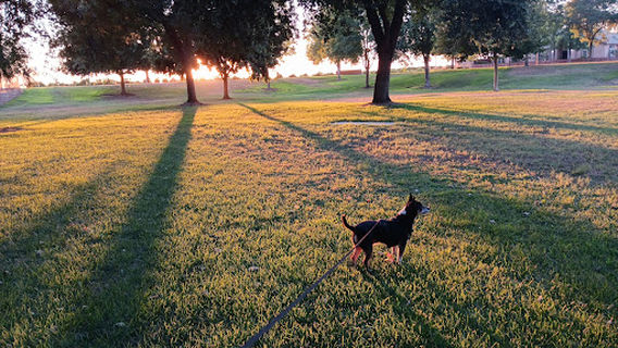 Unger Disc Golf Park