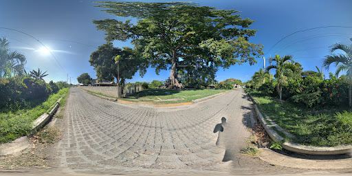 Natural Monument La Ceiba