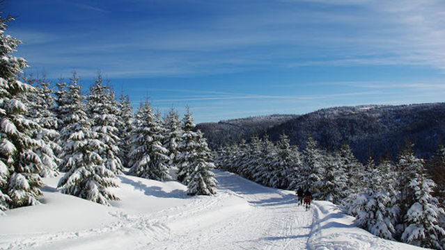 Camping de Belle Hutte : chalets et hébergements insolites