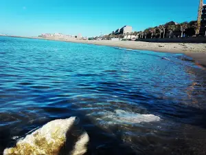 Lido la Piovra