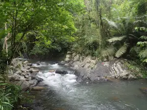 Rawa Bangun Nature Park