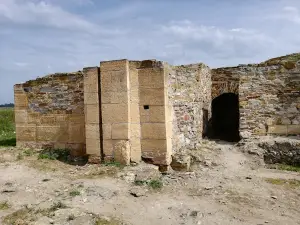 The Citadel of Halmyris