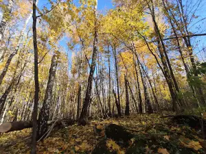Derman-Ostrog National Park