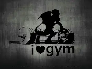 PowerFit Gym