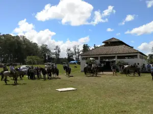 Exhibition Park Guilhermino Dutra