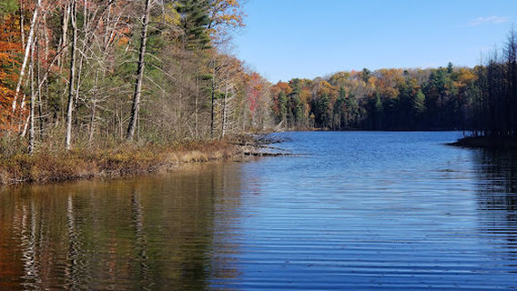 Ransom Lake Natural Area