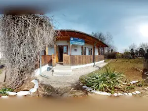 Casa Memorială Vasile Voiculescu