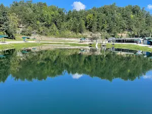 Wild Cat Camping and Fishing