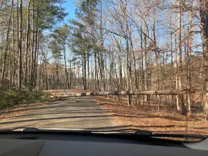 Long Cane Park