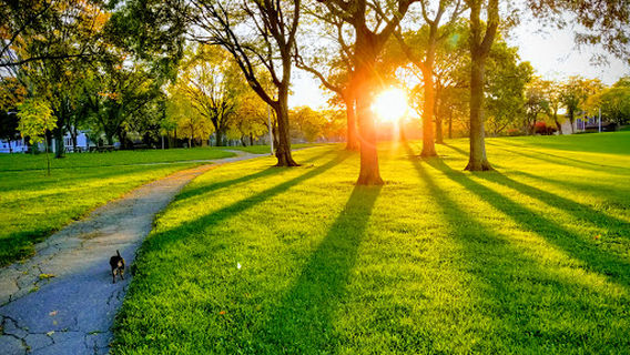LaFollette Park