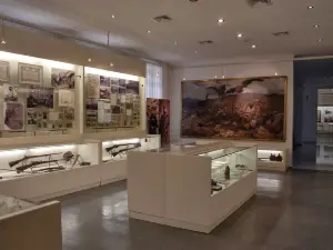 National Museum Kraljevo