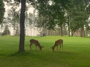 Spring Valley Golf Course