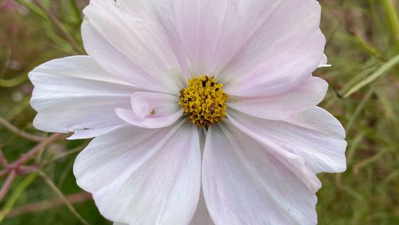 zao qiang xian lao dong zhu ti gong yuan