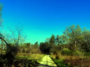 Grant Lake Wildlife Area