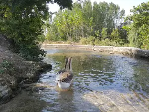 Kaynarca Su Kaynağı