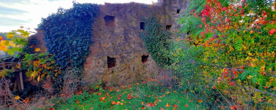 Burgruine Kohren