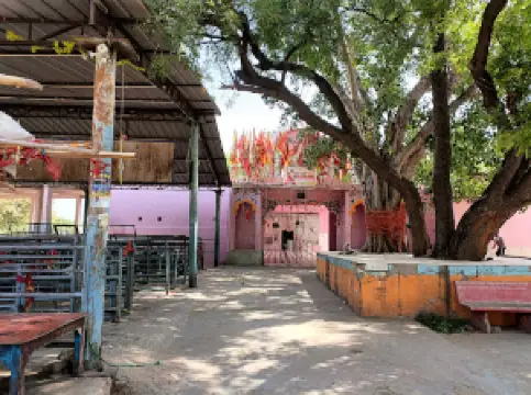 Maa mansha devi dehmi behror