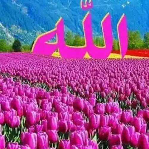 tanah pekuburan melayu islam pusing