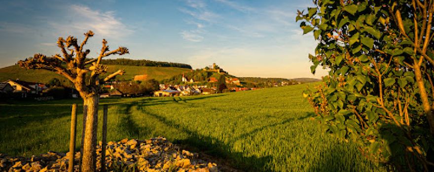 Burgfalknerei Hohenbeilstein
