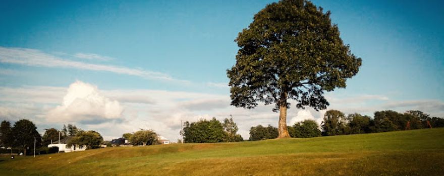Thomas Shanks Park