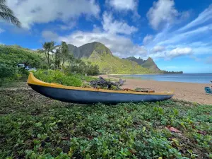 Waipi'o Black Sand Beach