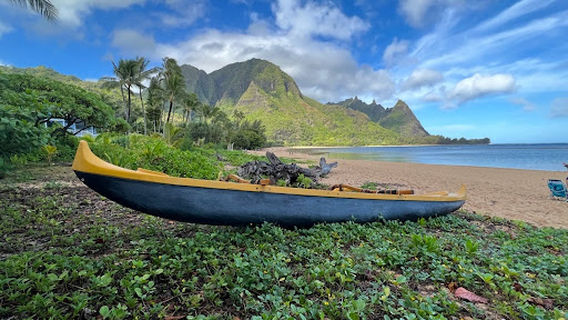 Waipi'o Black Sand Beach