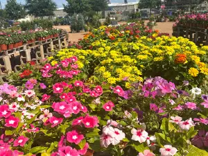 Red Barn Garden Center