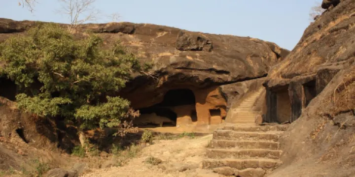 桑賈伊·甘地國家公園