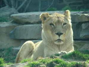 Philadelphia Zoo