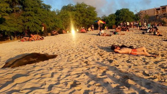San Cristobal Island