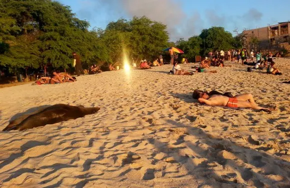 聖克里斯托巴爾島