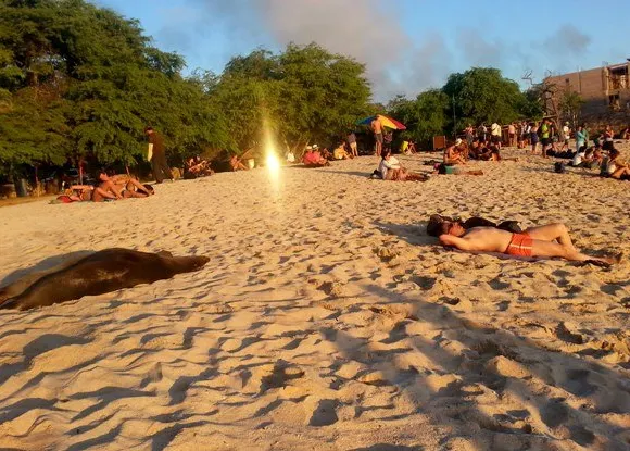 聖克里斯托巴爾島