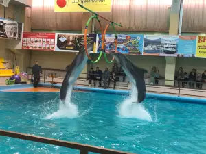 Геленджикский дельфинарий