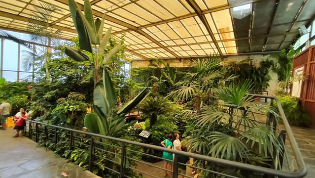 Mariposario Del Drago