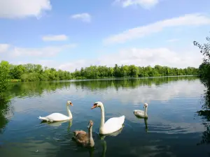 Parc d'Isle Jacques Braconnier