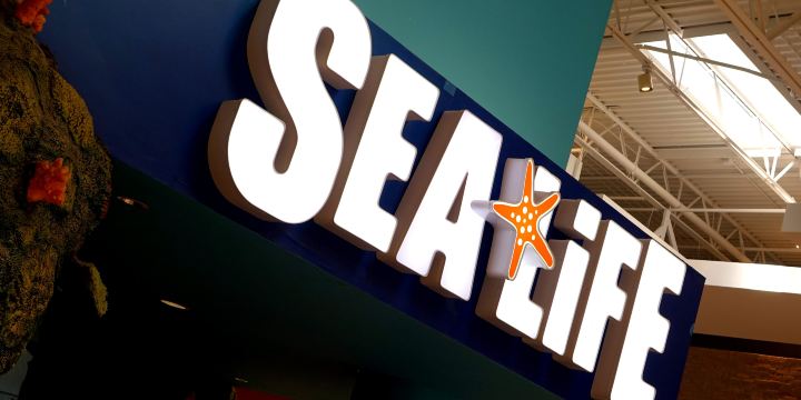 SEA LIFE Charlotte-Concord