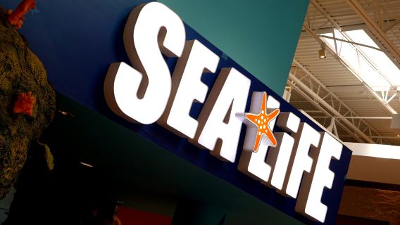 SEA LIFE Charlotte-Concord