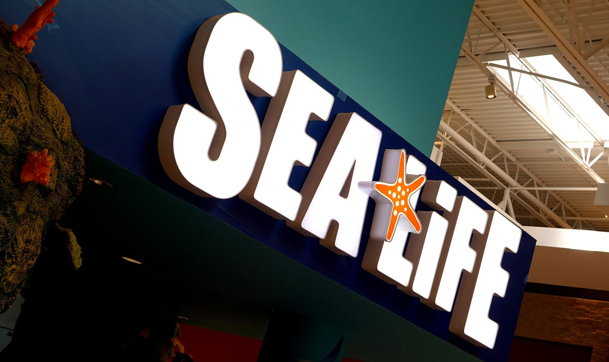SEA LIFE Charlotte-Concord