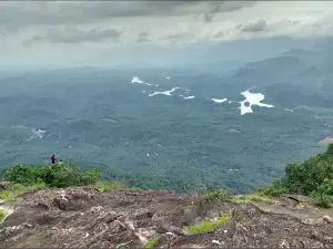 Vayalada View Point