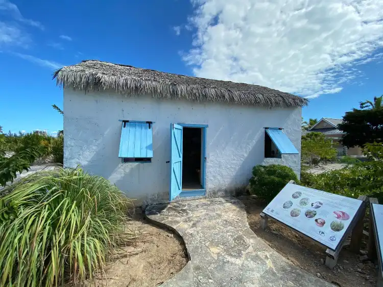 Hotels near Turks and Caicos National Museum