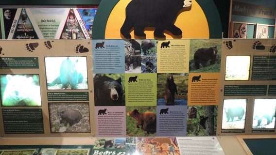 Lynn Canyon Ecology Centre