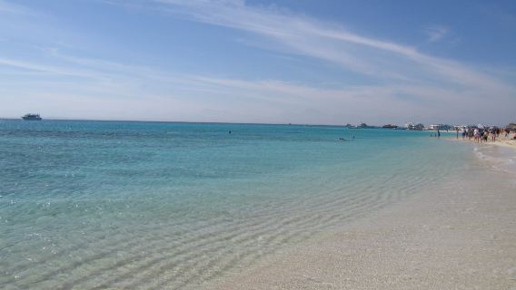 Hurghada Glass Boat Tour in Egypt | Hotel Pickup | Transparent Boat Bottom | Multiple Time Options