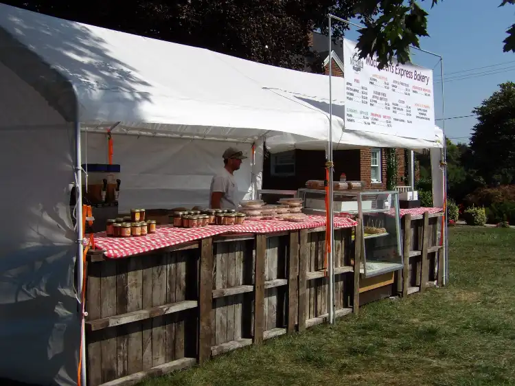 Hotels in Springfield Township