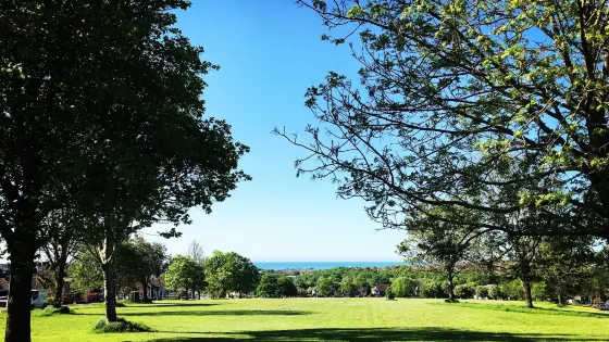 St Helen's