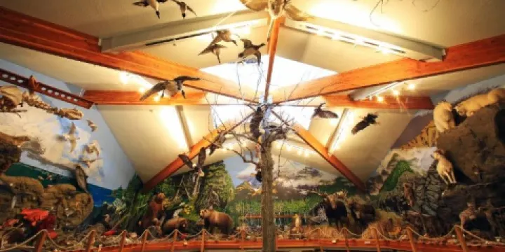 American Bald Eagle Foundation Museum