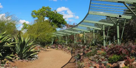 The Ruth Bancroft Garden