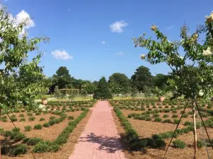 Coastal Georgia Botanical Gardens at the Historic Bamboo Farm