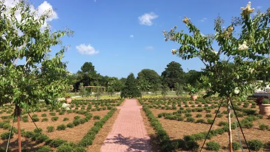 Coastal Georgia Botanical Gardens at the Historic Bamboo Farm