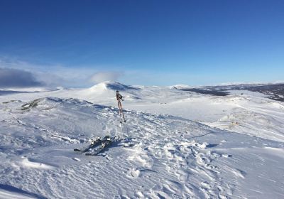 Tanndalen